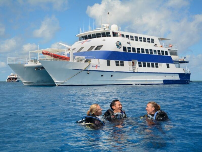 Cairns: 4-Day PADI Open Water Course - Reef Exploration