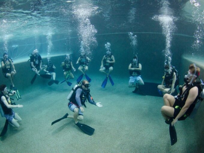 Cairns: 4-Day PADI Open Water Course - Booking Details