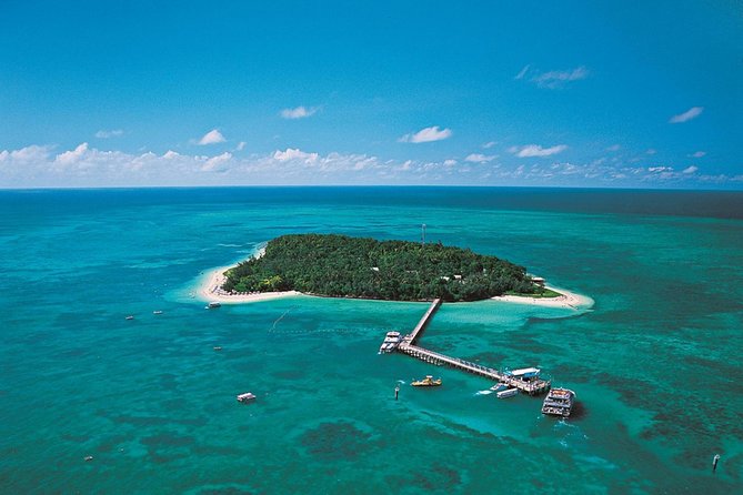 Cairns 4WD Rainforest Waterfall Tour Including a GBR Island Tour - Inclusions and Amenities