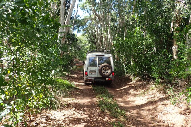 Cairns 4WD Rainforest Waterfall Tour Including a GBR Island Tour - Exploring Kuranda National Park