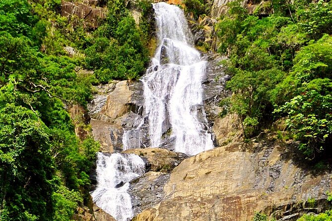 Cairns 4WD Rainforest Waterfall Tour Including a GBR Island Tour - Customer Feedback and Ratings