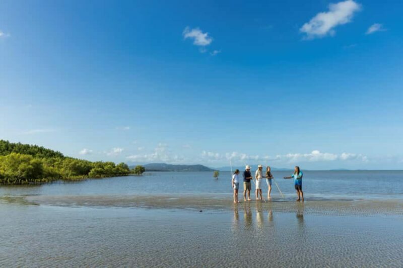 Cairns: Aboriginal Coastal Adventure & Mossman Gorge Tour - Authenticity and Cultural Respect