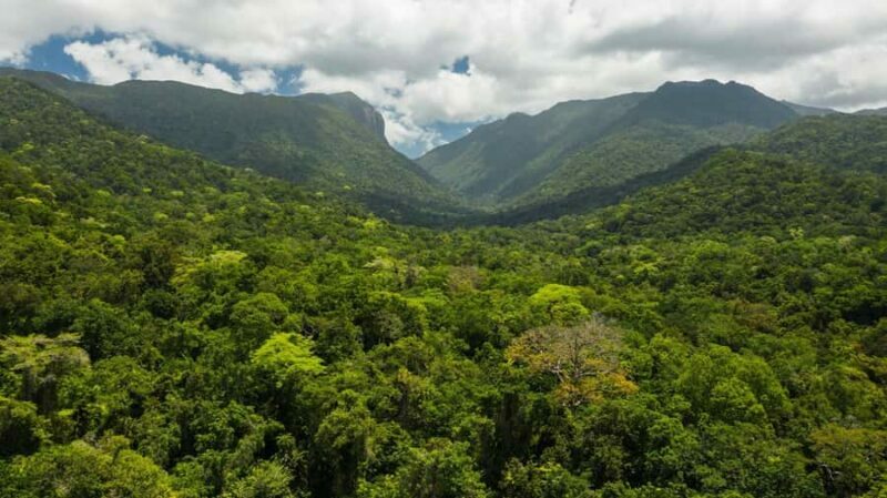 Cairns: Aboriginal Coastal Adventure & Mossman Gorge Tour - The Sum Up