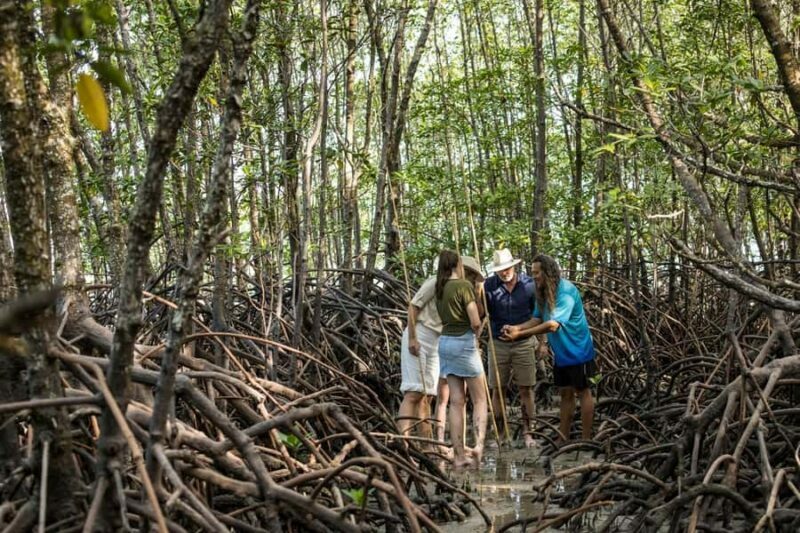 Cairns: Aboriginal Coastal Adventure & Mossman Gorge Tour - FAQ