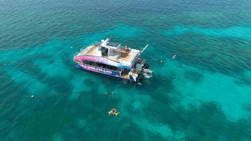 Cairns: All-Inclusive Great Barrier Reef Half-Day Snorkeling - An Authentic Look at the Cairns Half-Day Reef Snorkeling Tour