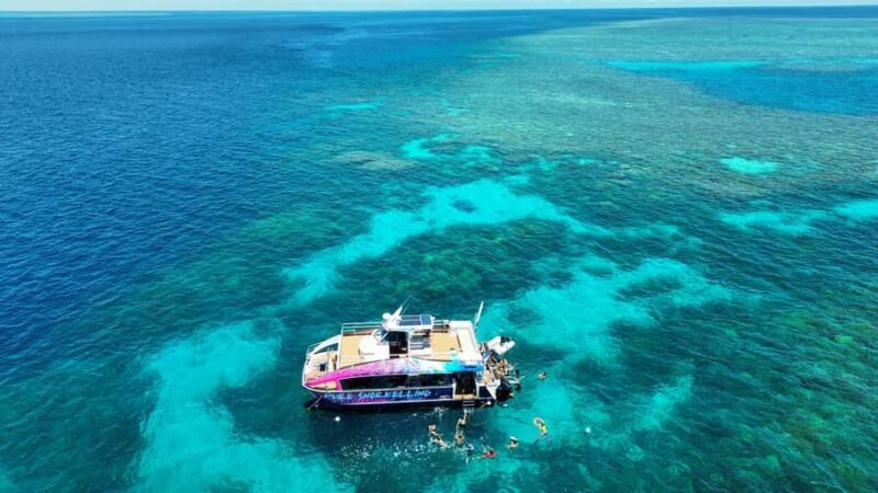Cairns: All-Inclusive Great Barrier Reef Half-Day Snorkeling - Who Is This Tour Best For?