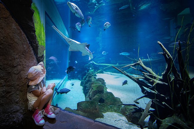 Cairns Aquarium Admission Ticket - Inclusions and Exclusions