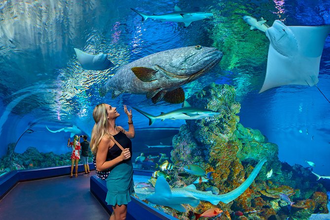Cairns Aquarium Admission Ticket - Location and Transportation