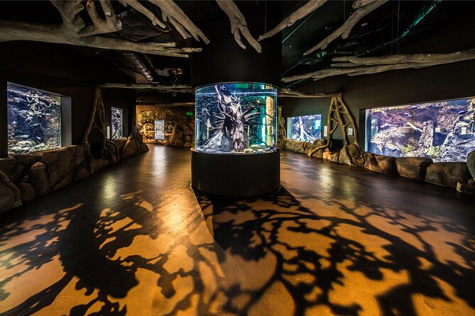 Cairns Aquarium by Twilight Tour and 3-Course Dinner - Dining Experience Details