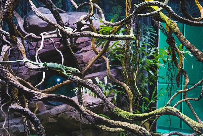 Cairns Aquarium by Twilight Tour and 3-Course Dinner - Tour Duration and Timing