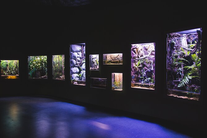 Cairns Aquarium by Twilight Tour and 3-Course Dinner - Tour Suitability and Participation