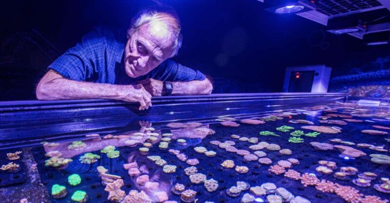 Cairns: Aquarium Entry Ticket and Coral Conservation Tour - Booking Information