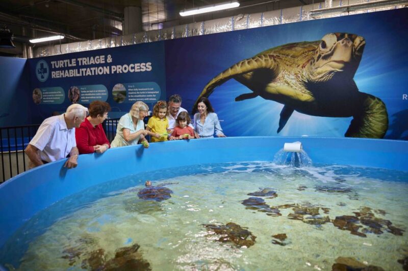 Cairns: Aquarium Entry Ticket and Turtle Rehabilitation Tour - Turtle Rehabilitation Center Exploration
