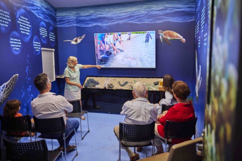 Cairns: Aquarium Entry Ticket and Turtle Rehabilitation Tour - Recap
