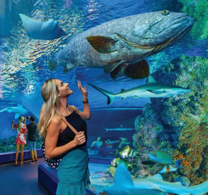 Cairns Aquarium General Admission Ticket - Customer Ratings and Feedback