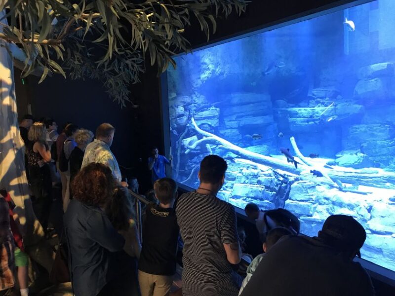 Cairns Aquarium Turtle Hospital and City Sightseeing Tour - Turtle Rehabilitation Centre