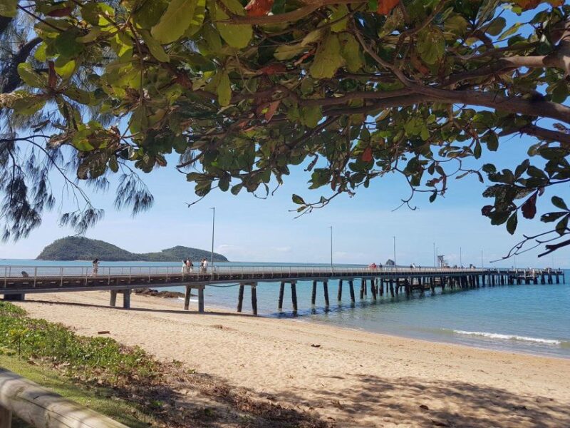 Cairns Aquarium Turtle Hospital and City Sightseeing Tour - Afternoon Sightseeing Tour