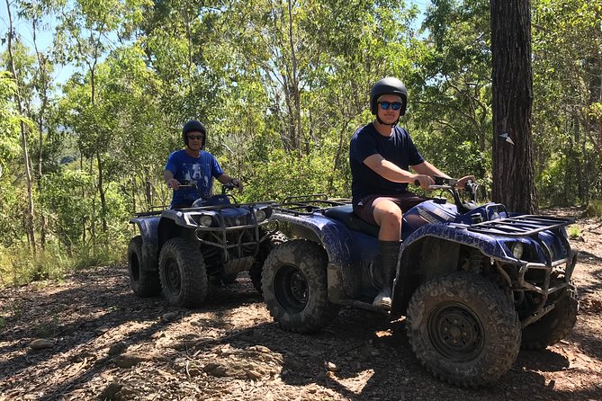Cairns ATV Adventure Tour and Morning Skyrail - Skyrail Rainforest Cableway