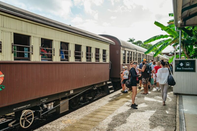Cairns: Best of the Kuranda Rainforest Full-Day Tour & Lunch - Key Highlights