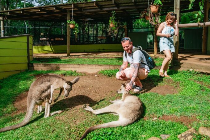 Cairns: Best of the Kuranda Rainforest Full-Day Tour & Lunch - Frequently Asked Questions