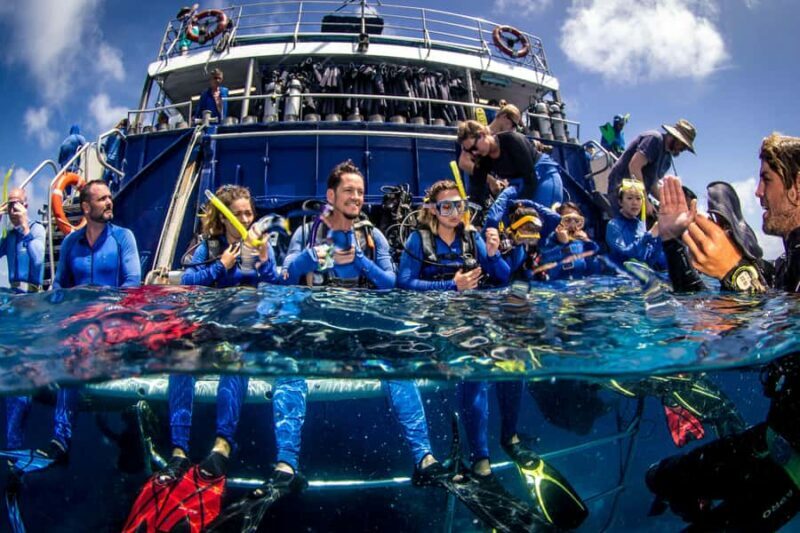 Cairns: Best Value All-inclusive Reef Trip With Scuba Dive - A Closer Look at the Experience