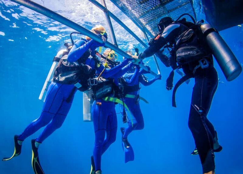 Cairns: Best Value All-inclusive Reef Trip With Scuba Dive - Final Thoughts