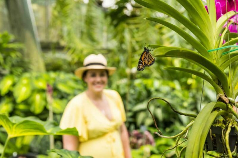 Cairns: Cairns City Sights & Surrounds Half Day Tour - FAQ
