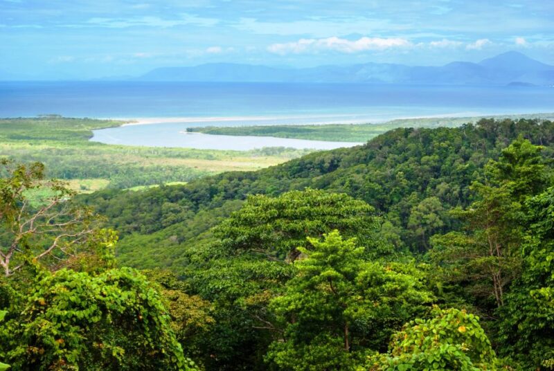 Cairns: Cape Tribulation, Beaches, Crocs & Swimming Day Tour - Included Experiences