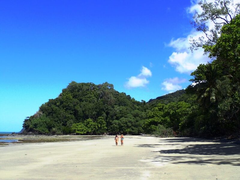 Cairns: Cape Tribulation, Beaches, Crocs & Swimming Day Tour - Logistics