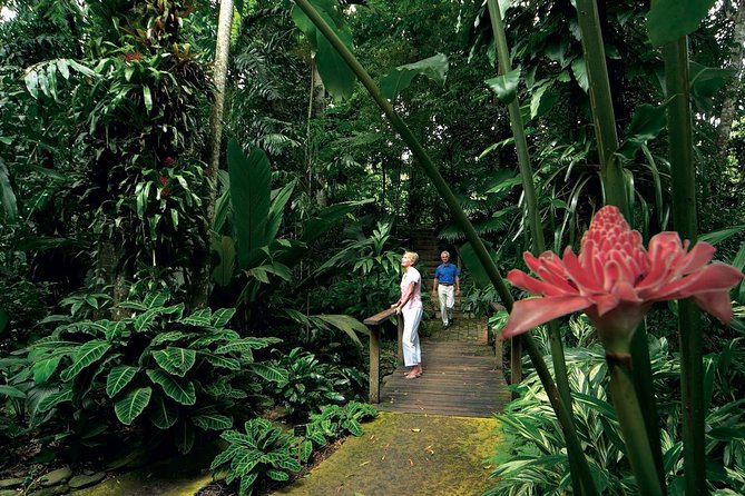 Cairns City Sights and Surrounds Tour - Pickup and Drop-off