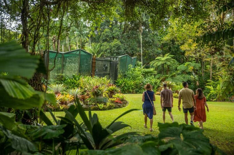 Cairns: City Sights Tour with Evening Dinner Cruise - Key Points