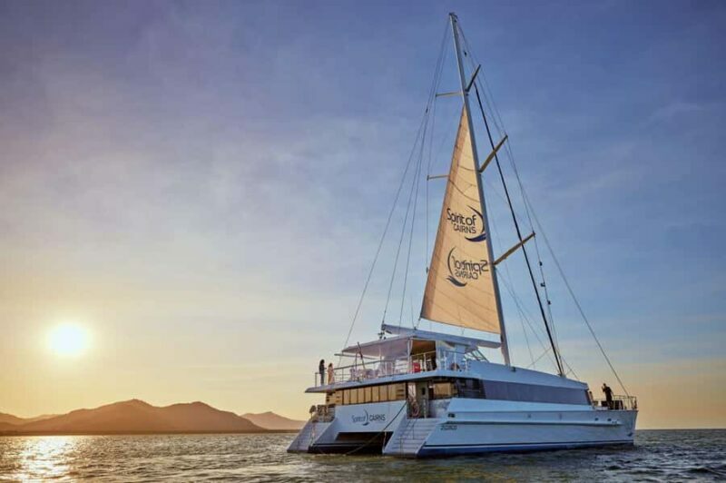 Cairns: City Sights Tour with Evening Dinner Cruise - What to Expect from the Tour