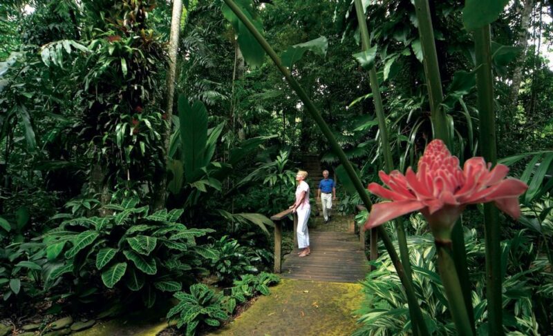 Cairns: City Sights Tour With Evening Dinner Cruise - Durations