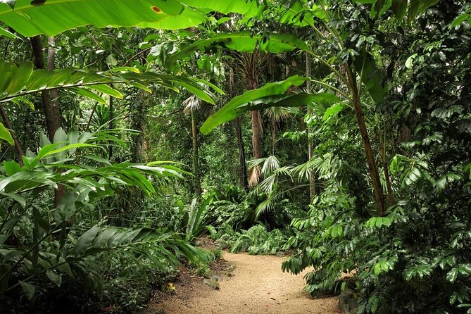 Cairns Combo: Cairns River Cruise & Small Group Cairns City Sights - Accessibility and Important Information