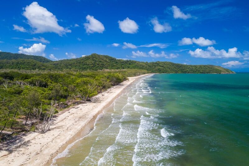 Cairns: Daintree and Mossman Gorge Tour With Cruise Option - Key Points