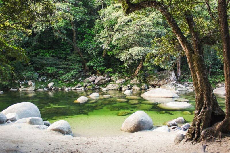 Cairns: Daintree and Mossman Gorge Tour With Cruise Option - Mossman Gorge and Smoke Ceremony
