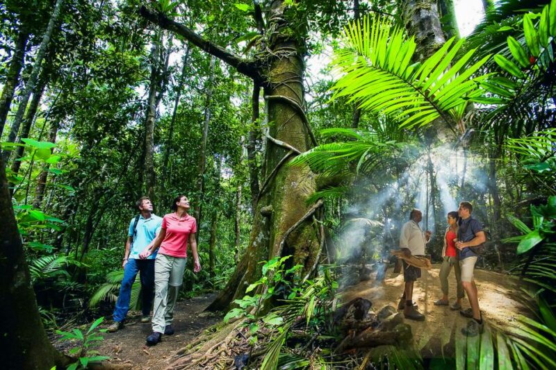 Cairns: Daintree and Mossman Gorge Tour With Cruise Option - Guided Rainforest Walk