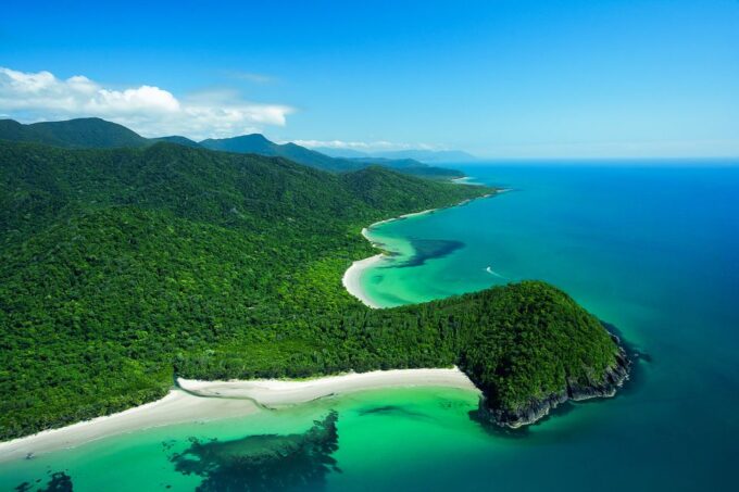 Cairns: Daintree and Mossman Gorge Tour With Cruise Option - Wildlife River Cruise