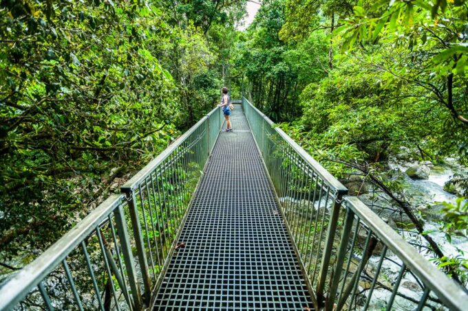 Cairns: Daintree and Mossman Gorge Tour With Cruise Option - Important Considerations