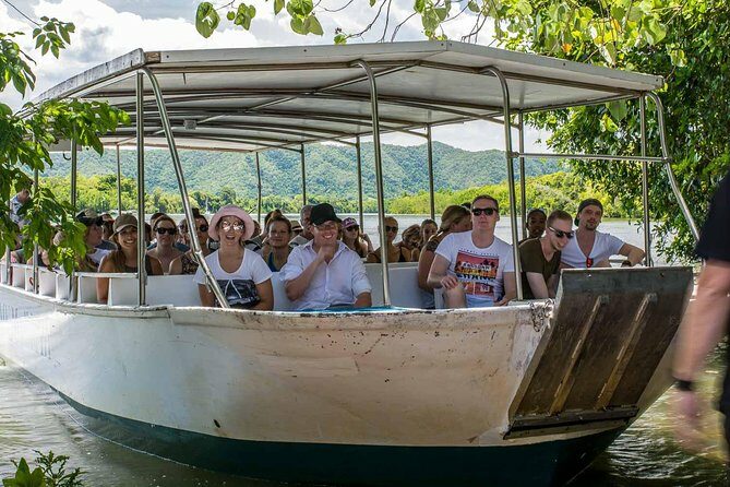 Cairns Daintree Rainforest and Cape Tribulation 2-Day Tour - An In-Depth Look at the Tour Experience
