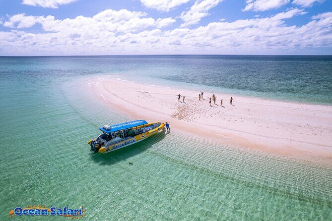 Cairns Daintree Rainforest and Cape Tribulation 2-Day Tour - Who Is This Tour Best For?