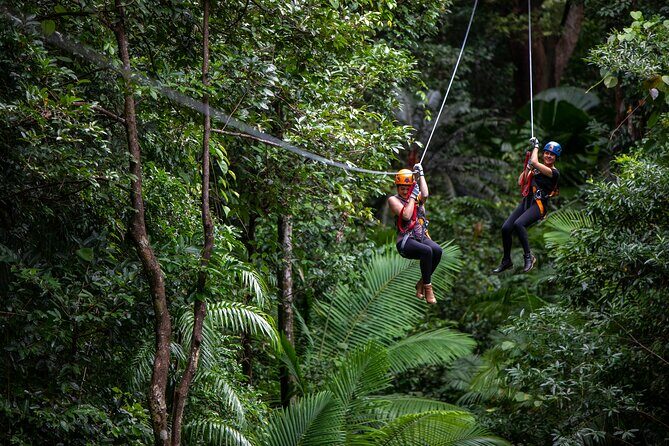 Cairns Daintree Rainforest and Cape Tribulation 2-Day Tour - FAQ