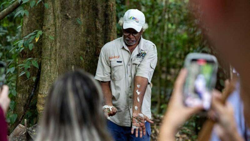 Cairns: Daintree Rainforest and Mossman Gorge Tour - Evaluating the Value