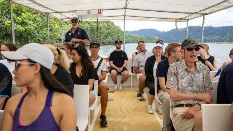 Cairns: Daintree Rainforest and Mossman Gorge Tour - Final Thoughts