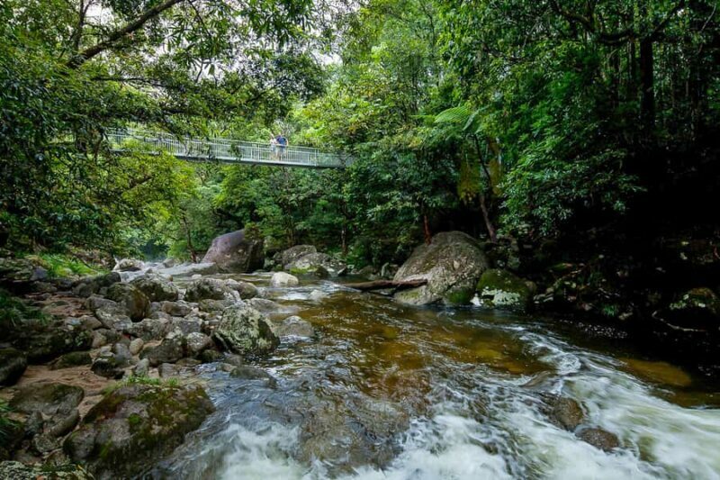 Cairns: Daintree Rainforest and Mossman Gorge Tour - FAQ