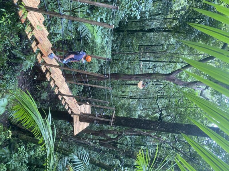 Cairns: Daintree Rainforest Canopy Ziplining Tour - Pricing and Booking