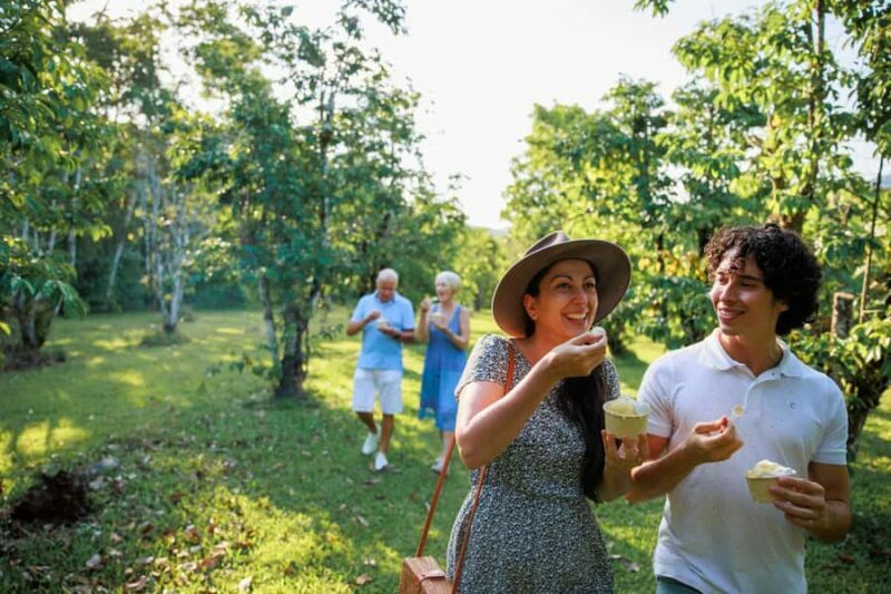Cairns: Daintree Rainforest & Cape Tribulation Day Trip - An In-Depth Look at the Experience