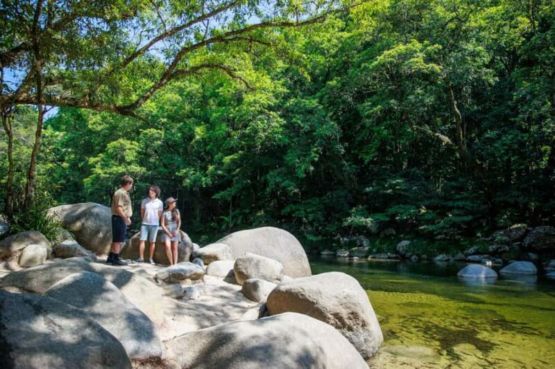 Cairns: Daintree Rainforest & Cape Tribulation Day Trip - Authentic Encounters and Tips