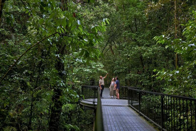 Cairns: Daintree Rainforest & Cape Tribulation Day Trip - The Value Proposition