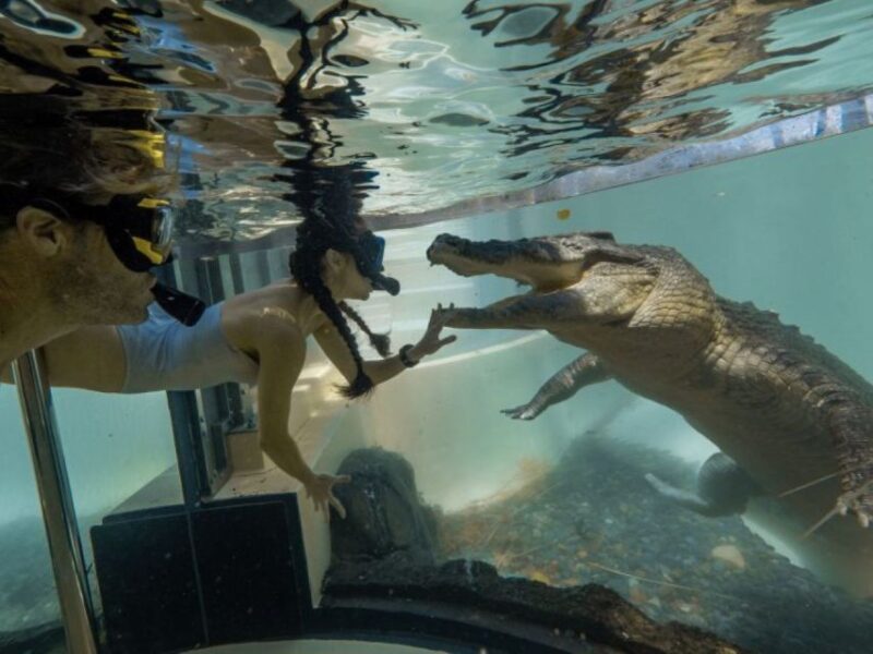 Cairns: Daintree Rainforest, Mosman Gorge, & Aboriginal Tour - Daintree Rainforest Exploration